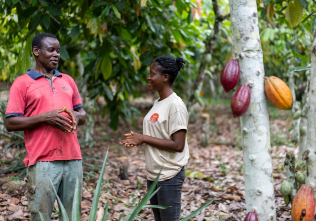Cocoa horizons coach with farmer