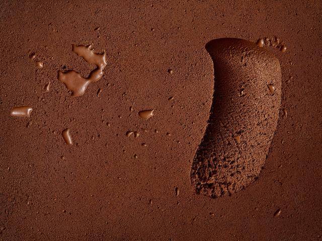 Barry Callebaut Partners with the Zurich University of Applied Sciences to Explore Cocoa Cell Culture Technology