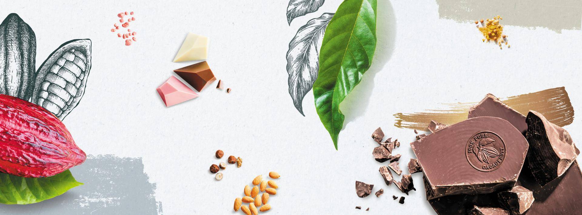 4 types of chocolate - Barry Callebaut
