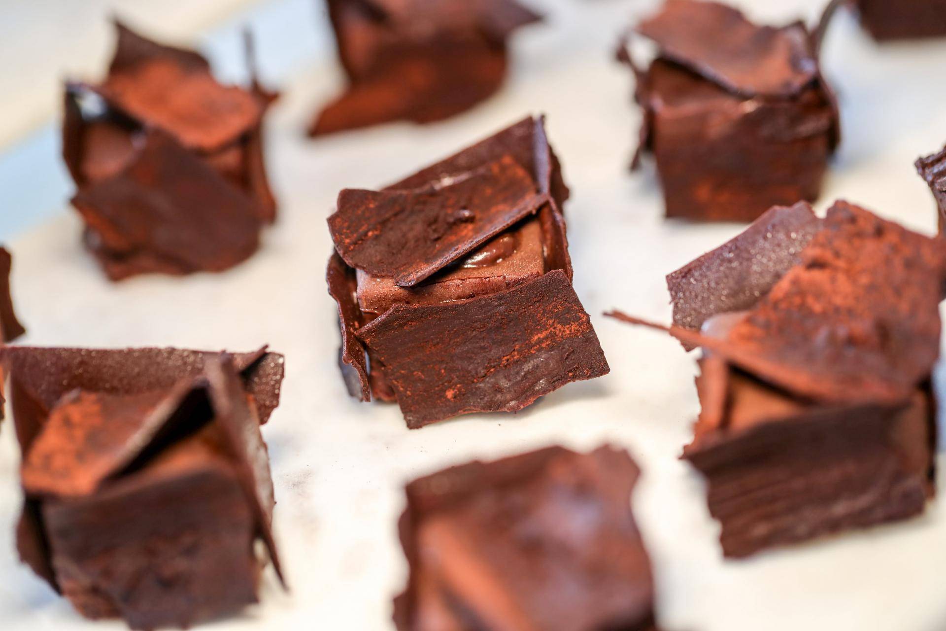 Barry Callebaut Half-Year 2020/21 Results