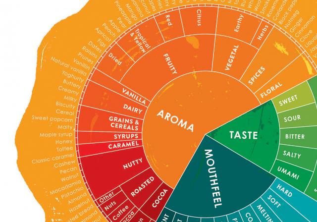 How to do a chocolate tasting