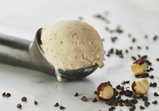 Ice Cream with Hazelnut Variegate