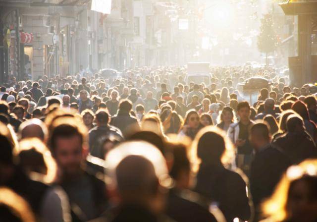 Consumer Trends & Insights