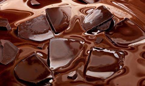 Barry Callebaut Half-Year Results 2024-25